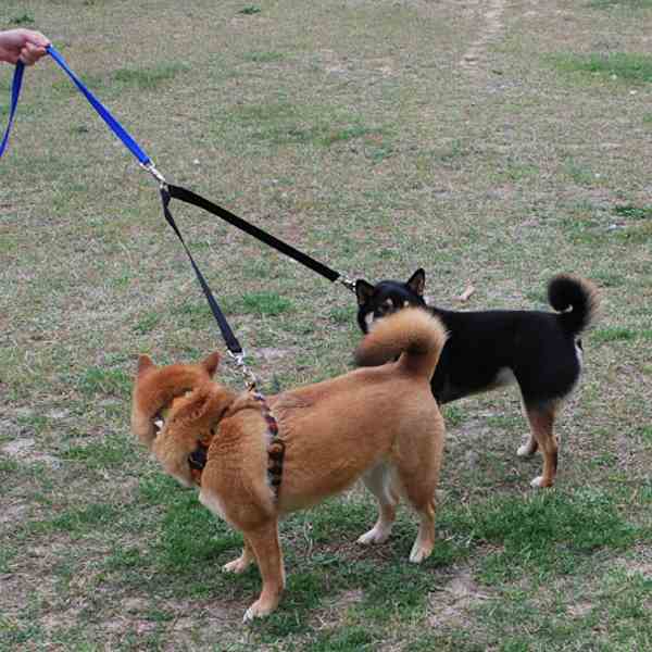 Tuff Lock Dog Leash Swivel Coupler Leash Splitter for Walking Two Dogs 