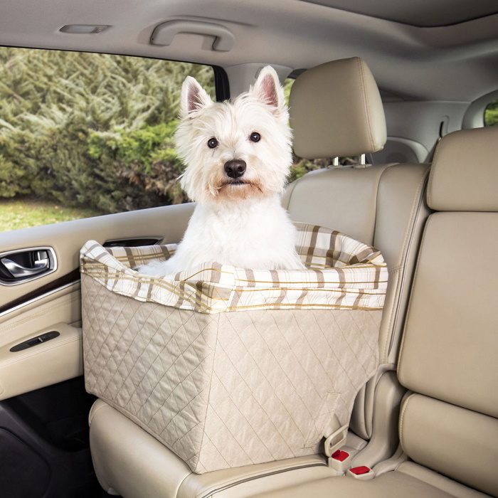 Car Booster Pet Safety Seat, What Is The Safest Car Seat For Small Dogs