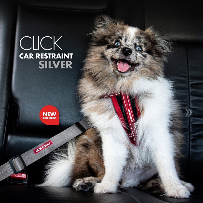 Ezydog Click Adjustable Dog Seat Belt Attachment Grey