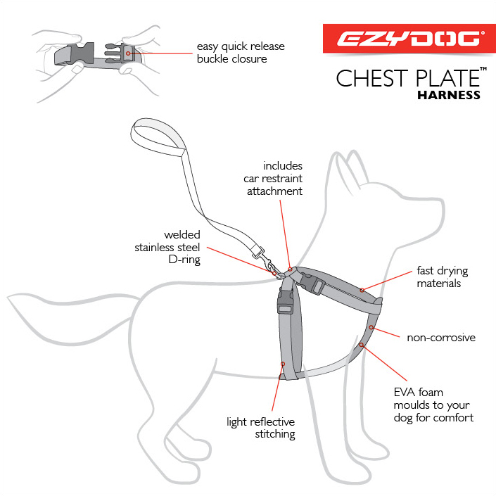 chestplate-harness-diagram