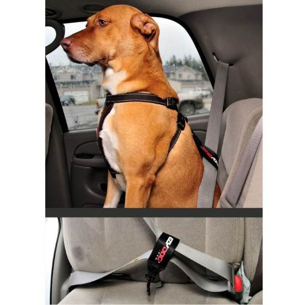 EzyDog Chest Plate Dog Harness & Car Restraint Top Quality Reflective Black XX-Small 