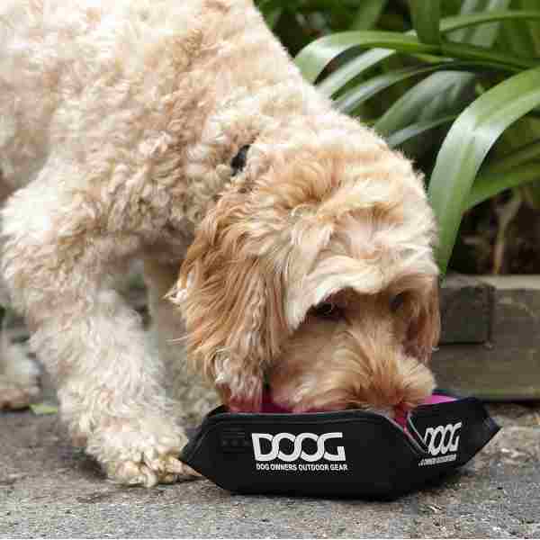 DOOG Pink portable dog bowl
