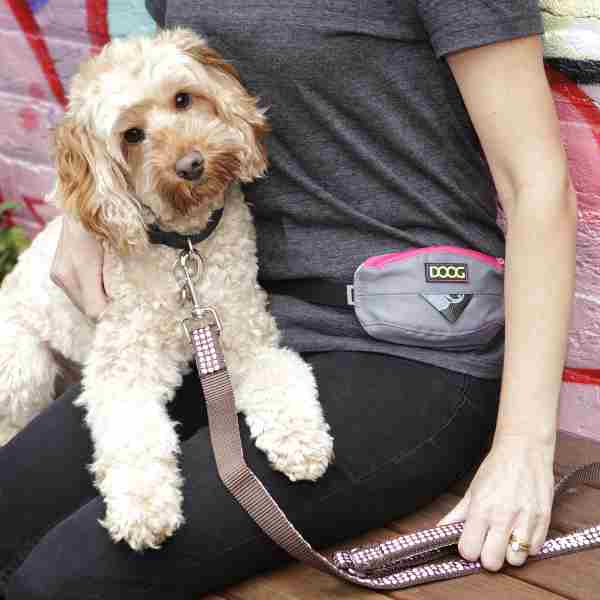 DOOG Mini Belt for Dogs Grey/Pink