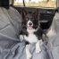 Ruffwear Dirtbag Dog Car Seat Cover