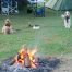 Camping with Dogs