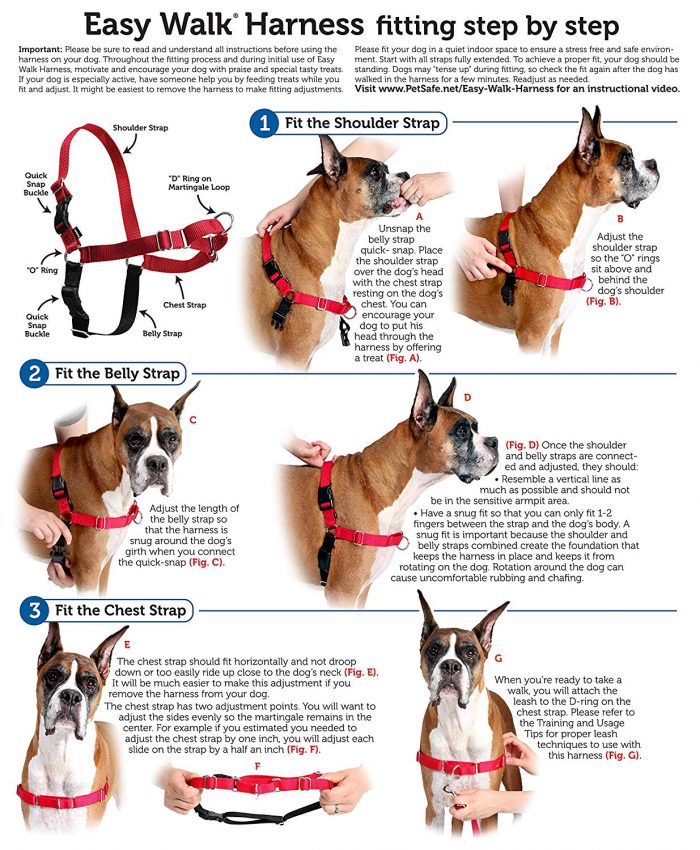 PetSafe EasyWalk Harness Fit Guide