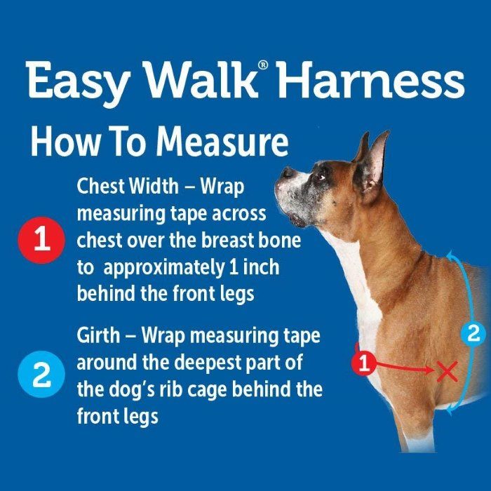PetSafe EasyWalk Harness Fit Measure