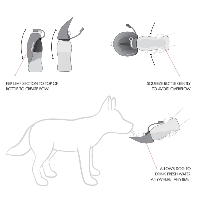 leaf-bottle-dog-diagram