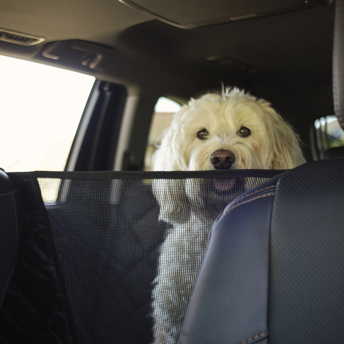 Pawmanity Split Rear Seat Hammock With Mesh Window Dogculture - Dog Seat Cover Hammock With Mesh Window