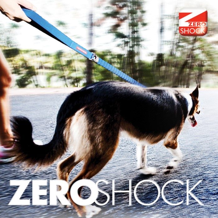 EzyDog Zero Shock Dog Leash NEW
