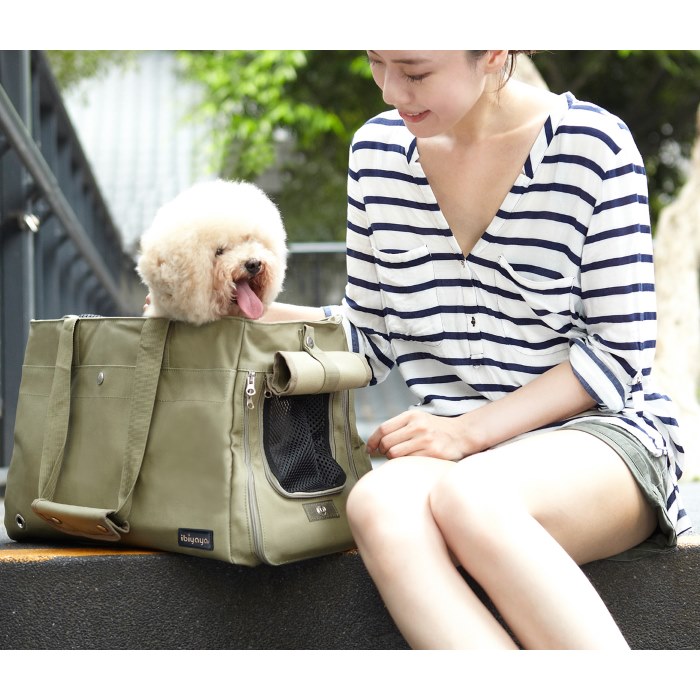 Ibiyaya Canvas Pet Tote Bag - Soft Carrier Bag for Small Pets