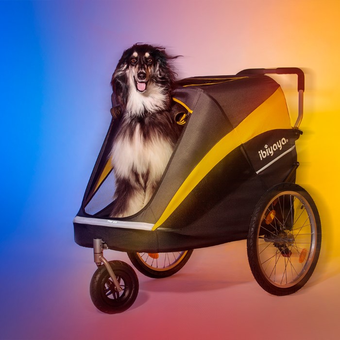 dog buggy for sale