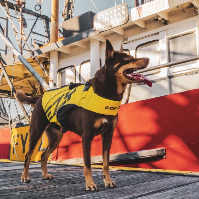 EzyDog DFD X2 Boost Dog Life Jacket yellow