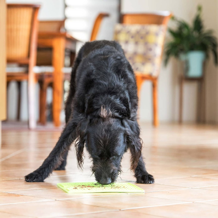 Lickimat Buddy Slow feed mat for dogs green