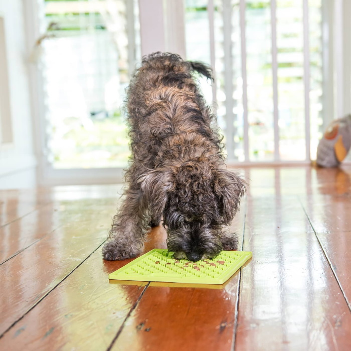 Lickimat Buddy Slow feed mat for dogs