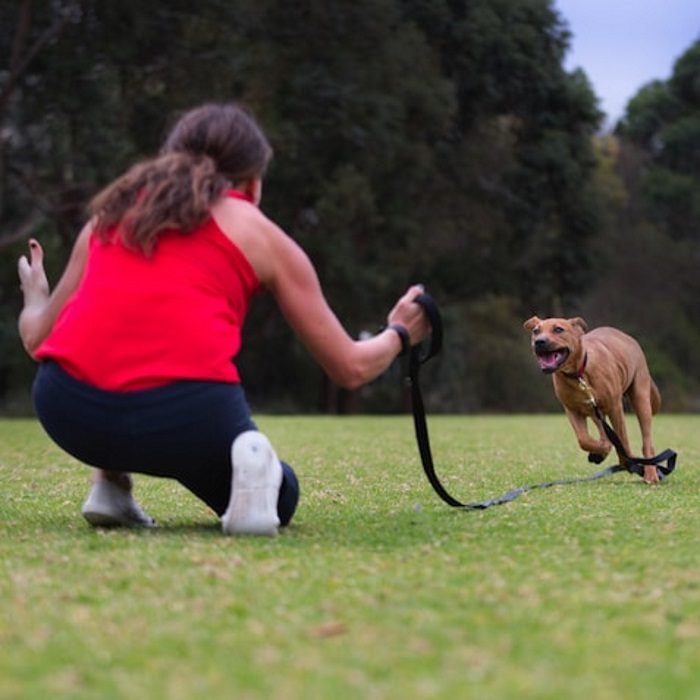 Canny-Recall-Training-long-dog-Leash