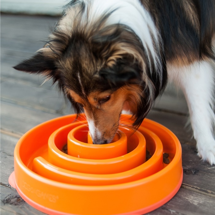 OUTWARD HOUND Fun Feeder Interactive Dog Bowl, Purple, 2 cup 