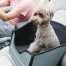K&H Mod Pet Safety Car Seat