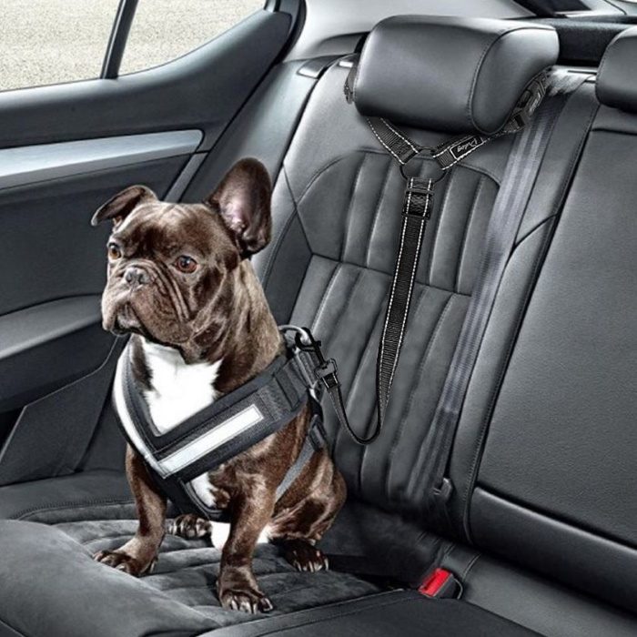 Car Headrest Restraint for Dogs