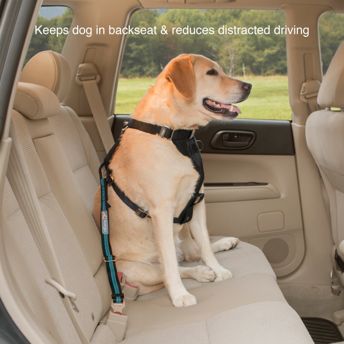 Kurgo Direct to Seat Belt Attachment for Dogs