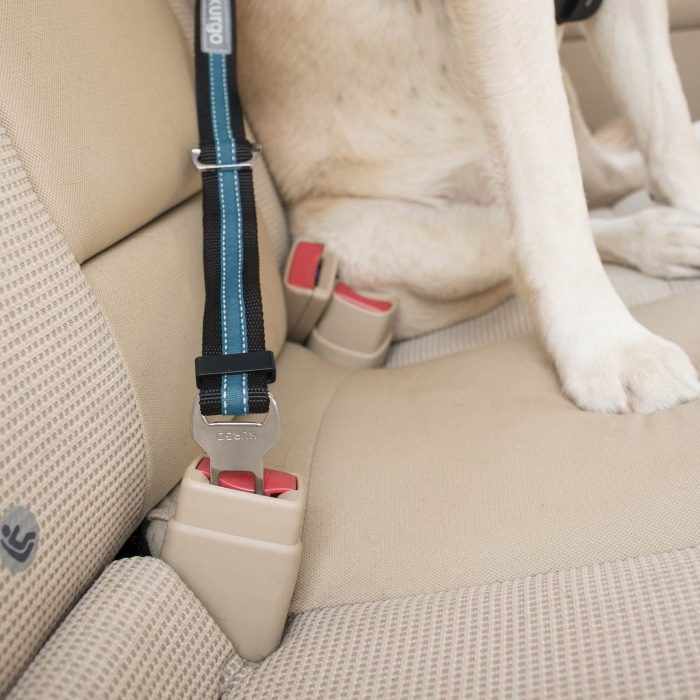 Kurgo Direct to Seat Belt Dog Tether Attachment