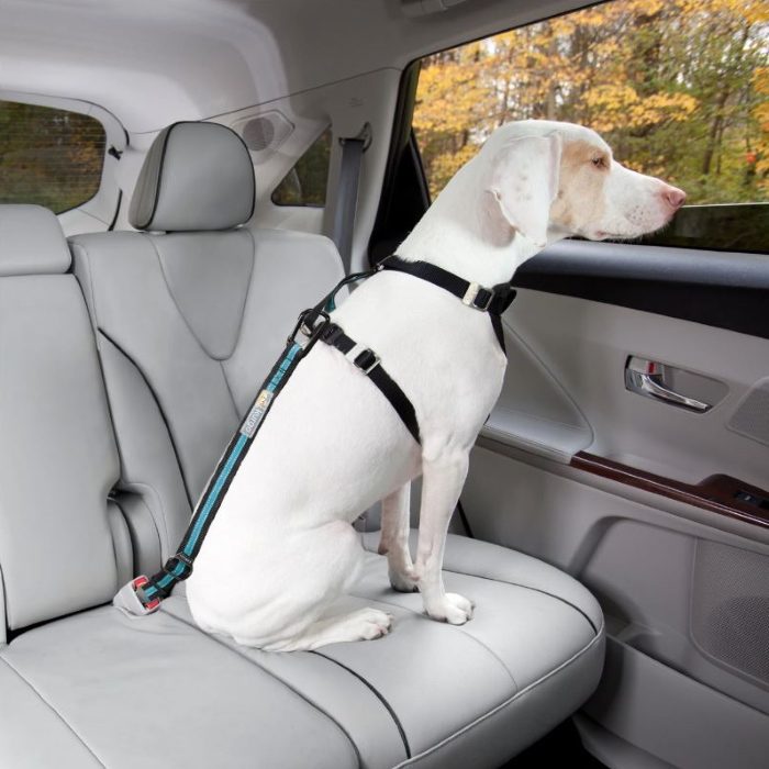 Kurgo Direct to Seat Belt Dog Tether_Blue