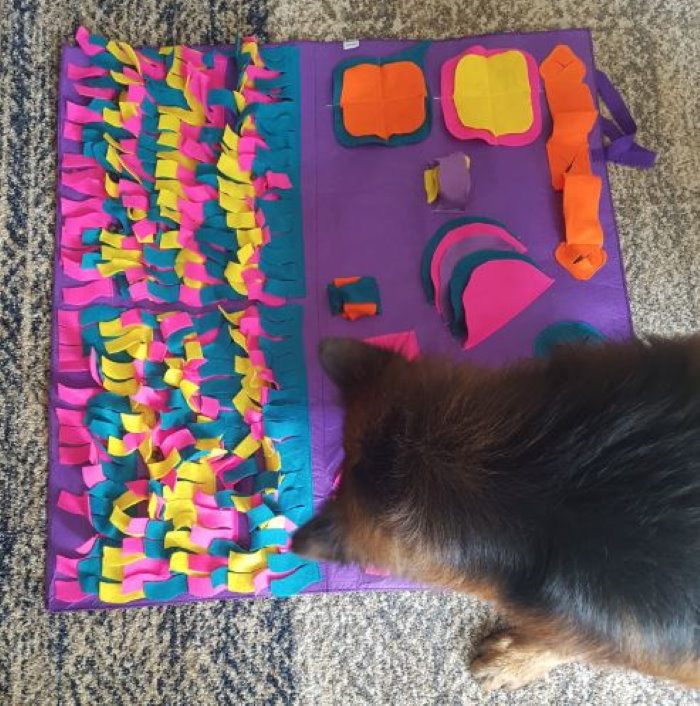 Activity Puzzle Activity Mat for Dogs