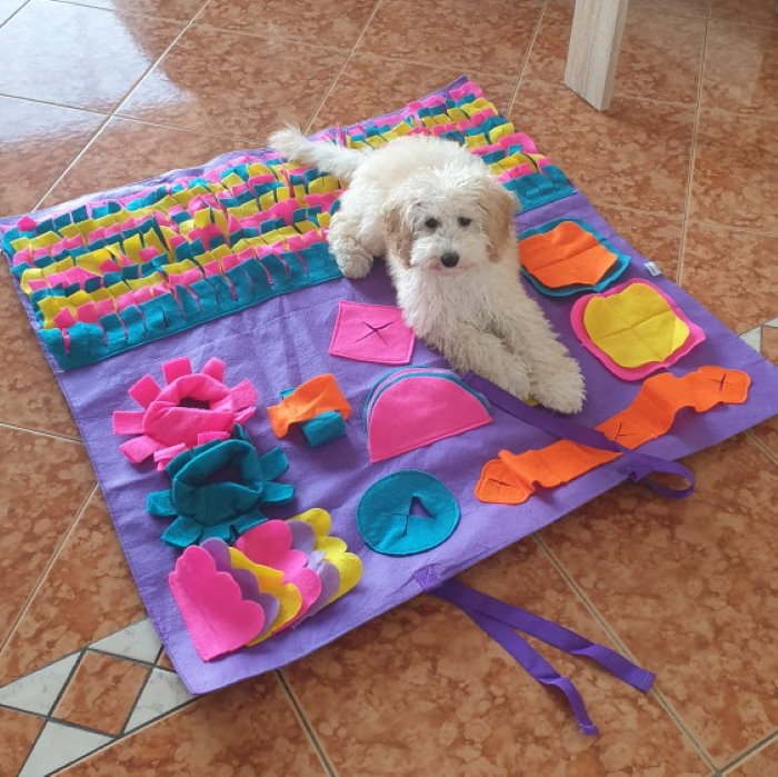 Activity Snuffle Puzzle Activity Mat for Dogs