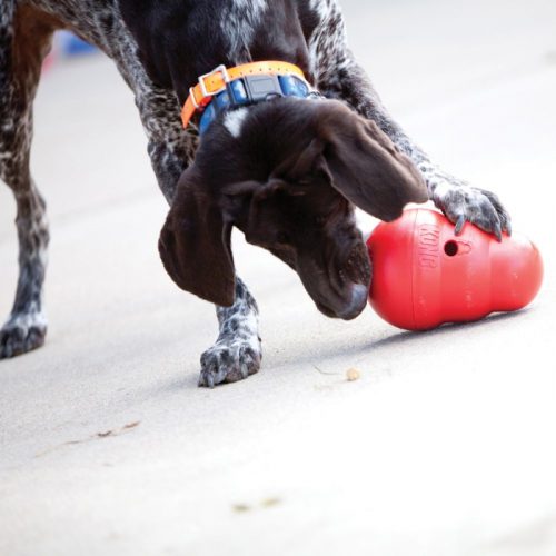 Kong Wobbler Treat Dispensing Enrichment Dog Toy