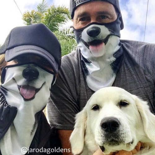 Animal Face Masks Novelty Dog Masks