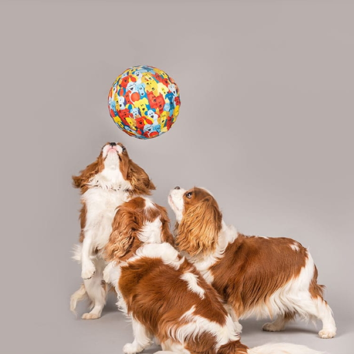 PetBloon Interactive Balloon Dog Toy 4