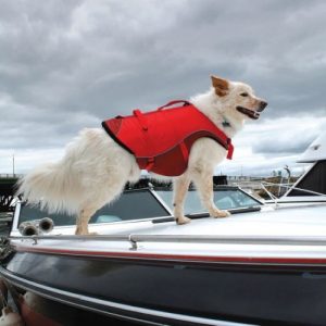 Kurgo Dog Life Jacket Surf n Turf Boat