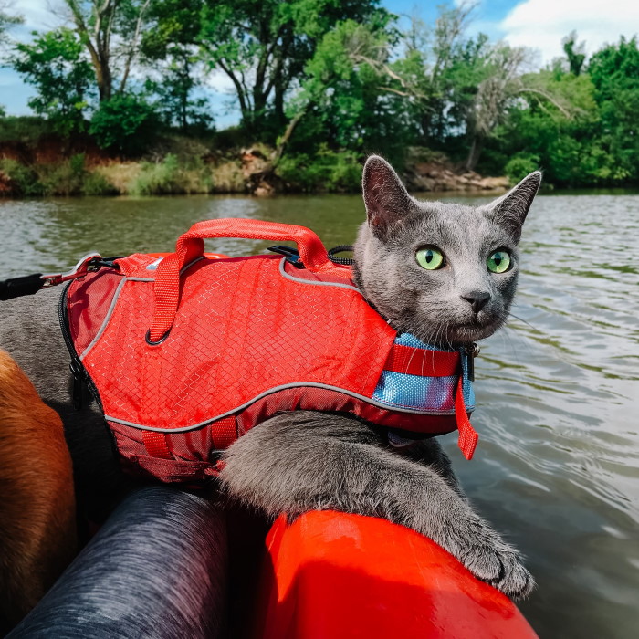 Kurgo Dog Life Jacket Surf n Turf Cat