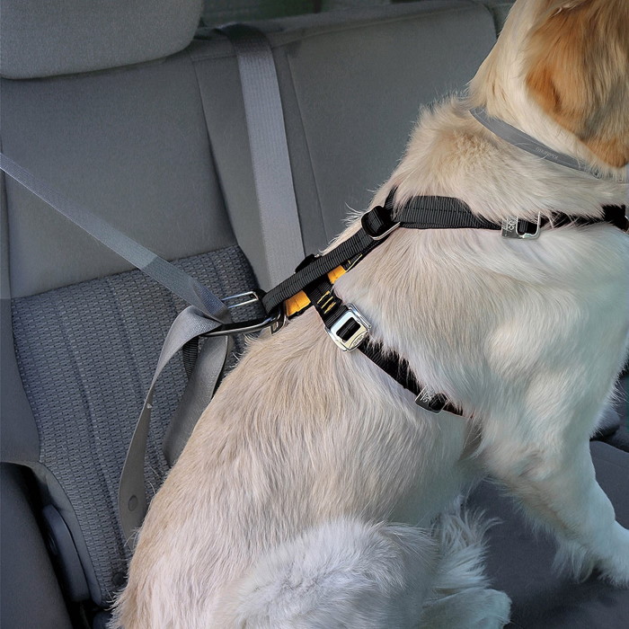 Kurgo Enhanced Strength Tru-Fit Dog Car Harness with Restraint Correct Fit