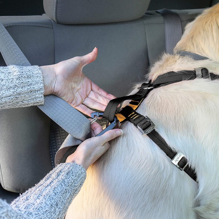 Kurgo Enhanced Strength Tru-Fit Dog Car Harness with Restraint Fitting