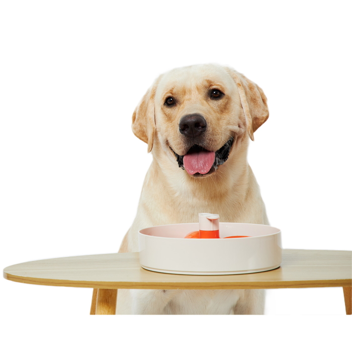 SPIN _Slow Feeder Bowl for Dogs FLOWER
