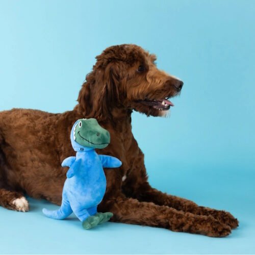 Fringe Studio Shark Rex Plush Dog Toy LS