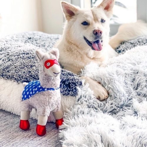 Fringe Studio Super Llama To The Rescue Superhero Plush Squeaker Dog Toy LS