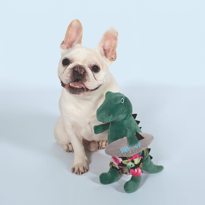 Fringe Studio Surfer Bro Surfing T-Rex Plush Squeaker Dog Toy LS