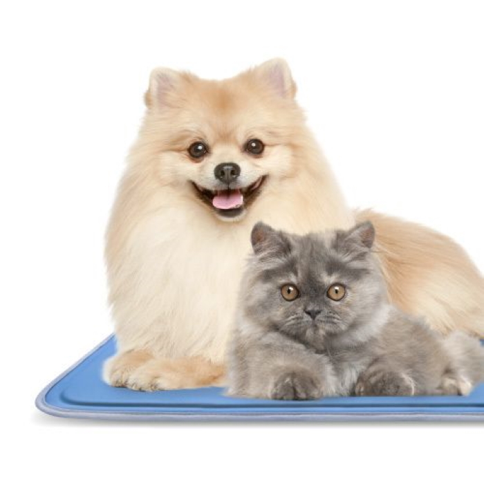 Squirt Pet Cooling Mat for dogs and cats