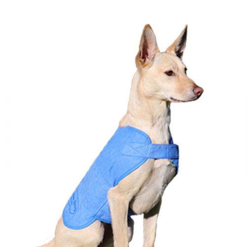 Pet Ice Vest Cooling Vest,Cooler Dog Cooling Vest Jacket Coat for Puppy Dog Cats Kittens Urijk Pet Dog Outdoor Summer Breathable Vest 