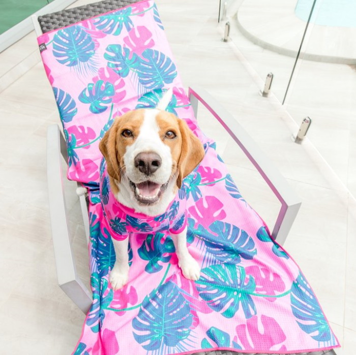 Big and Little Dogs_Beach-Towel_Summer-Lovin-Bailey