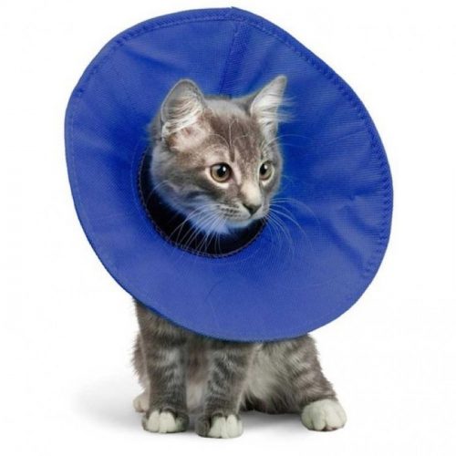 Kong EZ Soft Recovery Collar for cats