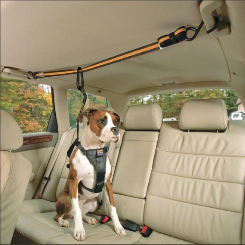 Kurgo Auto Zipline Seat belt for dogs