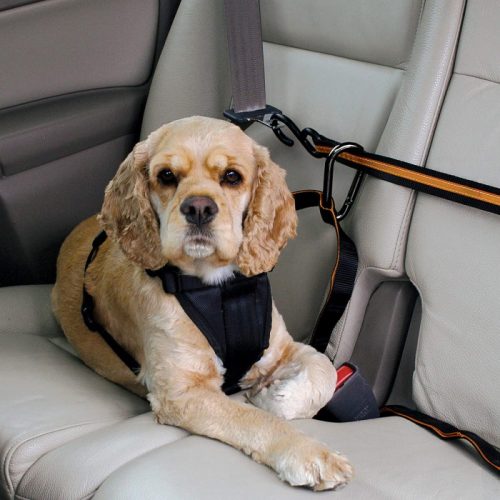 Kurgo Auto Zipline Seat belt restraint for dogs