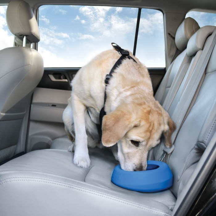 Kurgo Splash Free Travel Water Bowl for Dogs