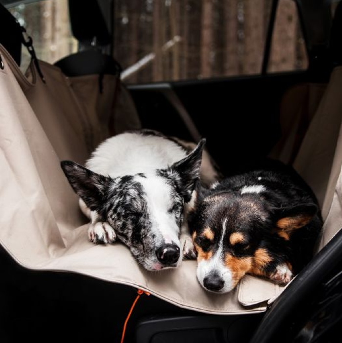 Kurgo Wander Hammock Dog Car seat protector_