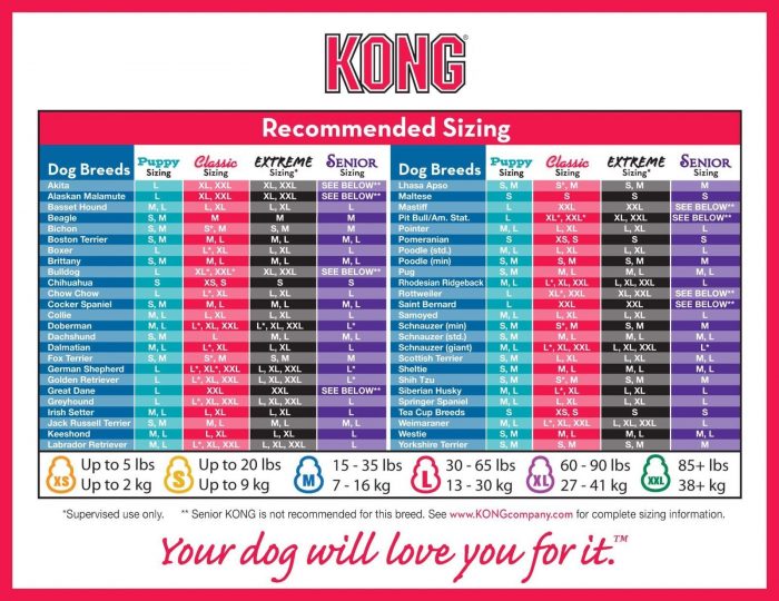 Kong recommended sizing