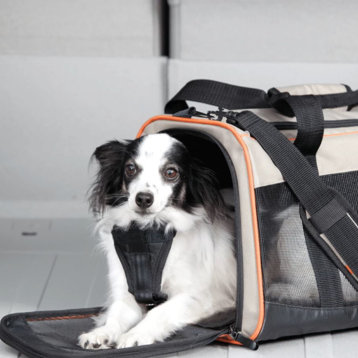 Kurgo Wander Pet Travel Car Carrier