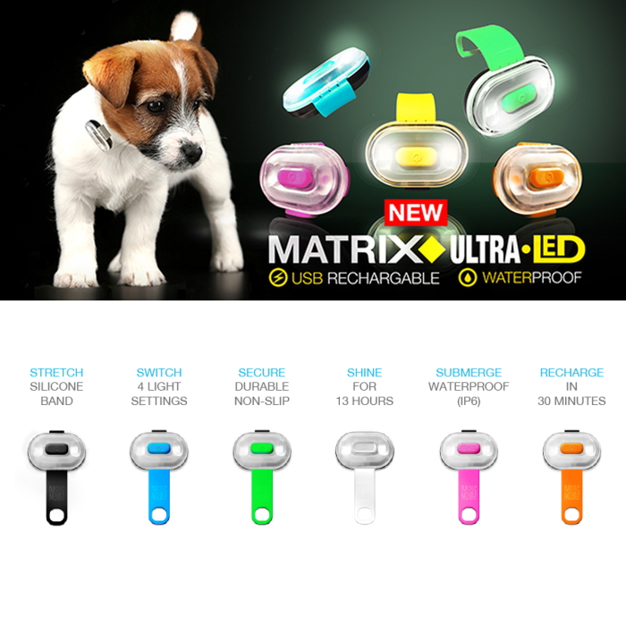 Max and Molly Safety LED Dog Collar Light_Features